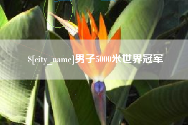北票男子5000米世界冠军