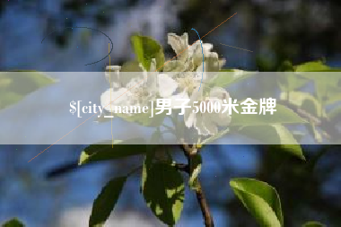 北票男子5000米金牌