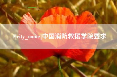 北票中国消防救援学院要求