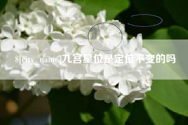 北票九宫星位是定位不变的吗