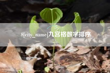 北票九宫格数字排序
