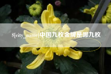 北票中国九枚金牌是哪九枚
