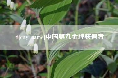 北票中国第九金牌获得者
