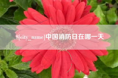北票中国消防日在哪一天