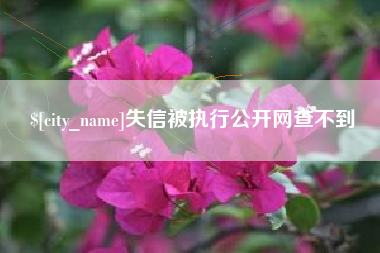 北票失信被执行公开网查不到