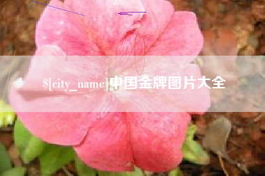 北票中国金牌图片大全