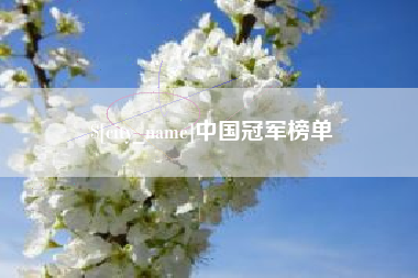 北票中国冠军榜单