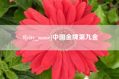 北票中国金牌第九金