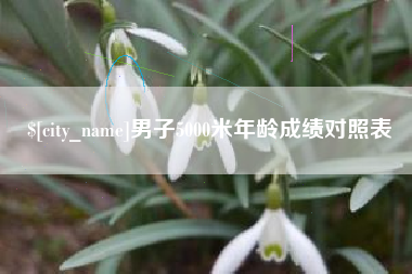 北票男子5000米年龄成绩对照表
