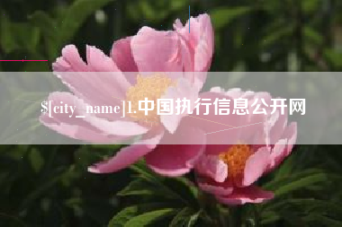 北票1.中国执行信息公开网