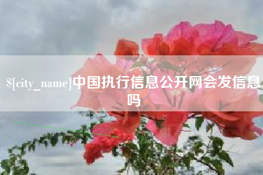 北票中国执行信息公开网会发信息吗