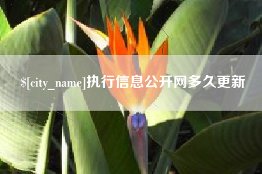 北票执行信息公开网多久更新