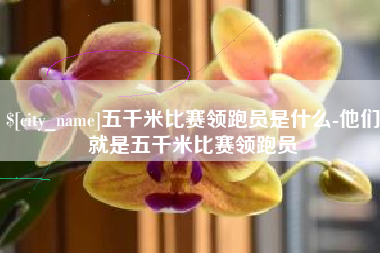 北票五千米比赛领跑员是什么-他们就是五千米比赛领跑员
