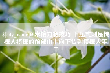北票60米接力赛技巧-下压式则是传棒人将棒的前部由上向下传到接棒人手中