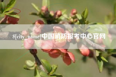 北票中国消防报考中心官网
