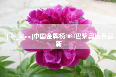 北票中国金牌榜2024巴黎奥运会最新