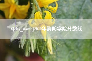 北票2020年消防学院分数线