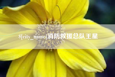 北票消防救援总队王星