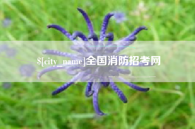 北票全国消防招考网