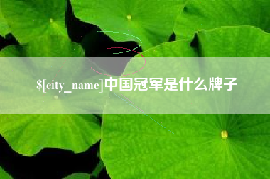 北票中国冠军是什么牌子