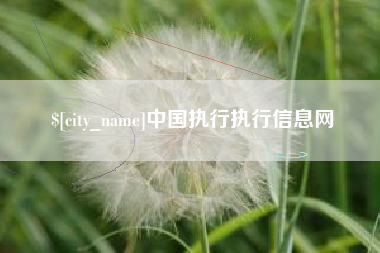 北票中国执行执行信息网