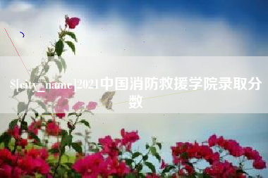 北票2021中国消防救援学院录取分数