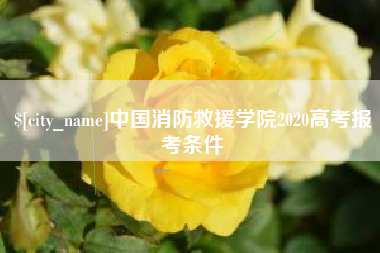 北票中国消防救援学院2020高考报考条件