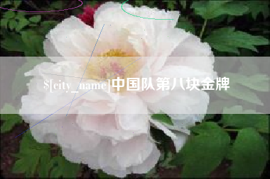 北票中国队第八块金牌