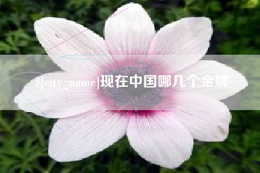 北票现在中国哪几个金牌