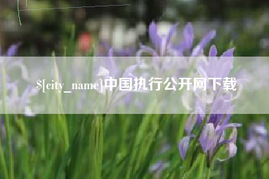 北票中国执行公开网下载