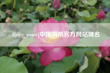 北票中国消防官方网站域名