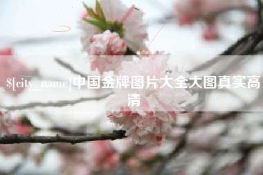 北票中国金牌图片大全大图真实高清
