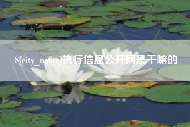 北票执行信息公开网是干嘛的
