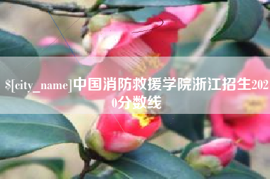 北票中国消防救援学院浙江招生2020分数线