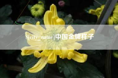 北票中国金牌样子