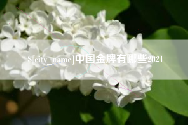 北票中国金牌有哪些2021