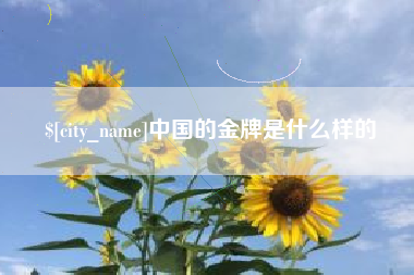 北票中国的金牌是什么样的