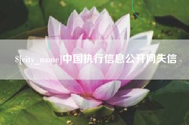 北票中国执行信息公开网失信
