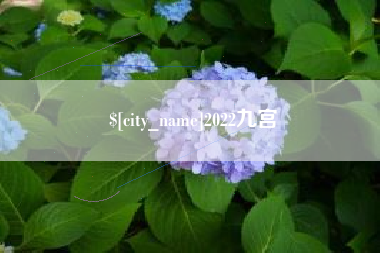 北票2022九宫