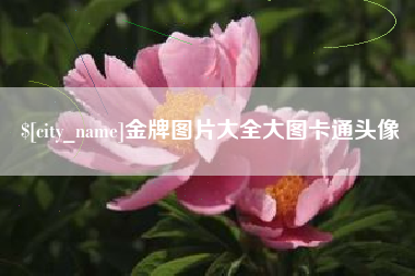 北票金牌图片大全大图卡通头像