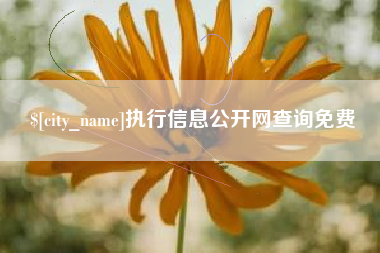 北票执行信息公开网查询免费